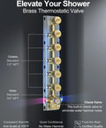 Brass thermostatic valve for shower systems with inlets, outlets, and built-in check valve for optimal performance.