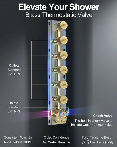 Brass thermostatic valve for shower systems with inlets, outlets, and built-in check valve for optimal performance.