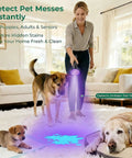 Woman using Powerful 100 LED UV Black Light Flashlight 395nm for pet urine detection on carpet, two dogs present