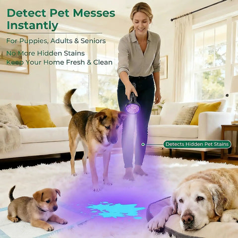 Woman using Powerful 100 LED UV Black Light Flashlight 395nm for pet urine detection on carpet, two dogs present