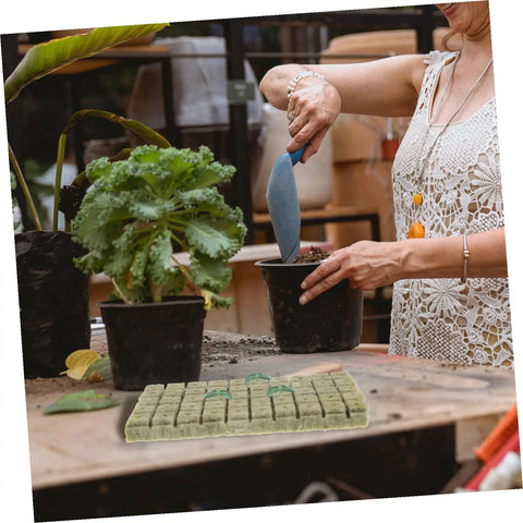 Gardener with 100 Piece Hydroponic Starter Plugs And Fertilizer Cubes For Indoor Grow Systems on table, plant in background.