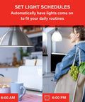 No Hub Smart Light Bulb For Google Home Control, kitchen lighting schedule automation, morning and evening scenes