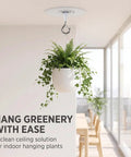 Heavy Duty Peel And Stick Ceiling Hooks Two Pack Rock Solid Grip With Safety Clasp Zero Hassle Install For Hanging Plants in white pot
