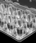 Stackable 100 Pack Plastic Egg Cartons For Quail Eggs 18 Grid Clear PVC Reusable Durable Bulk Buy with locking buckle design
