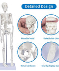 17.7 Inch Hands On Human Skeleton Model For Anatomy With Movable Shoulders Elbows Wrists Knees Ankles Articulated Bone Structure Realistic Display Stand Ideal For Teaching Learning And Classroom Demonstrations, showcasing detailed design features like the movable hood and detachable chin.