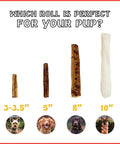 Comparison of different dog chew sizes including Twistedz American Beefhide 5 Inch Twist Sticks For Dogs With Real Beef Meat Wrap Chew Treats.