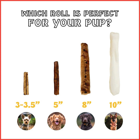 Comparison of different dog chew sizes including Twistedz American Beefhide 5 Inch Twist Sticks For Dogs With Real Beef Meat Wrap Chew Treats.