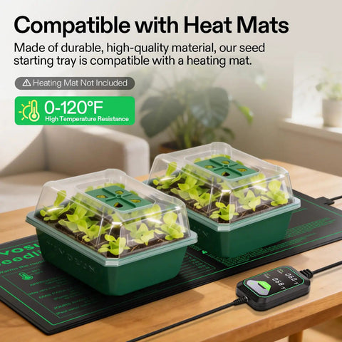 Easy To Use 72 Cell Seed Starter Kit With Humidity Dome And Drain Holes on heat mat, seedlings visible