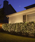 Plug In Fairy Lights 33ft 100 LED Copper Wire String Lights Warm White Cozy Vibes illuminating outdoor bushes at night