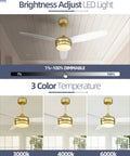 Modern Gold Ceiling Fan With Remote And LED Light 52 Inch Indoor Outdoor Ceiling Fan With 3 White Blades Dual Mount
