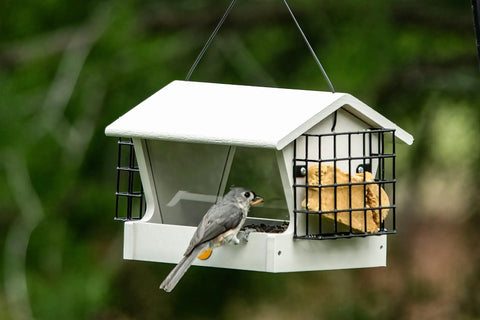 Medium Hopper Bird Feeder With Dual Suet Cages Easy Fill Hinged Roof Weather Resistant Metal Mesh, bird eating seeds.