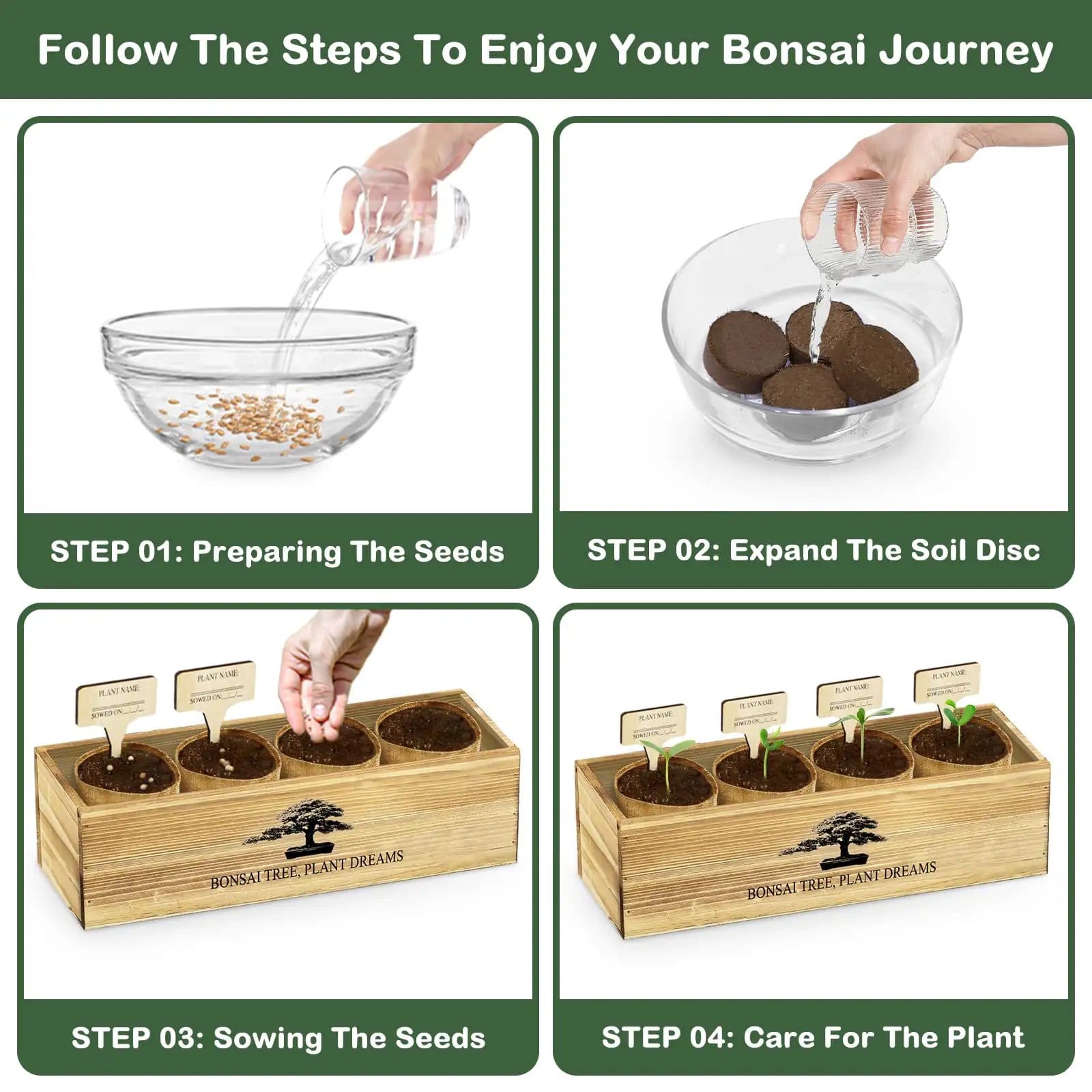 Complete Bonsai Tree Kit for Beginners, Exotic 4-Tree Set ✓