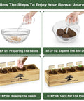Complete Bonsai Tree Kit for Beginners DIY Starter Set step-by-step guide with grow bags, soil, and seeds in wooden box.