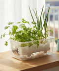 Dope Self Watering Rectangular Planter With Breathable Undergrowth Vents And Glacier Textured Finish, Transparent PET Window Sill Indoor Greenery Pot In Piano White, Drop Resistant, Perfect For Small Veggies And Herbs, 1 Pack on windowsill with herbs
