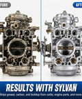 Before and after cleaning results of a carburetor using Heavy Duty Ultrasonic Carburetor And Engine Parts Cleaner Concentrate 32 Oz Bottle.