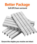 Heavy Duty T50 Stainless Steel Staples Assortment 1000 Count Three Sizes Five Sixteenth Three Eighth Half Inch For Staple Gun