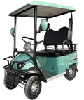 Sick Double Seat Electric Golf Cart Cruises Smooth Over Rough Terrain With Heavy Duty Independent Suspension And A Raw 800 Watt Motor Hitting 20 Mph in matte green