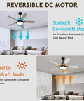 Diagram of 52 Inch Outdoor Ceiling Fan With Light And Remote Control, Reversible DC Motor showing summer and winter modes.