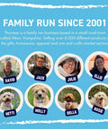 Family run business Thor ness in Alton, Hampshire with team members and their dogs. Friendly workplace culture and pets.