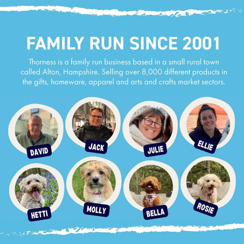 Family run business Thor ness in Alton, Hampshire with team members and their dogs. Friendly workplace culture and pets.