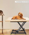 Heavy Duty 350lb Electric Scissor Lift Table With Adjustable Hydraulic Platform For Raising Heavy Loads To Perfect Working Height In Any Garage Shop Or Warehouse with a golden retriever on top.