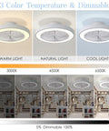 Low Profile Flush Mount Ceiling Fan With Lights Remote Control 6 Speeds Dimmable LED 3 Color Temperatures Iron Finish 18.9 Inch