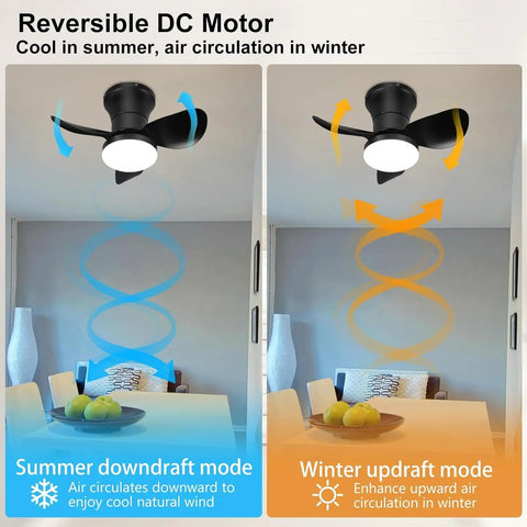 21 Inch Ceiling Fan With Lights And Remote Control, Smart App Control, Quiet DC Motor in summer and winter modes