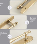Champagne Bronze Cabinet Pulls With Backplates, 2 Pack, 5 Inch Center to Center, close-up of modern style and durable finish
