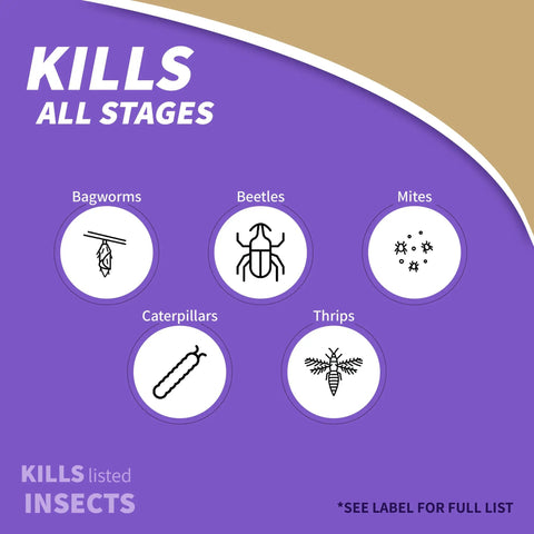 Image showing insects targeted by Captain Jack's Deadbug Brew Ready To Use Spray For Outdoor Insect And Mite Control In Organic Gardening 32 Oz.