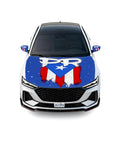 Puerto Rico Flag PR Letters And Starry Design Car Hood And Mirror Cover Set 4x5.25 Ft Stretchable Fit Windproof Fade Resistant