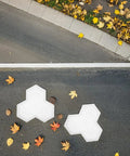 Maple Leaf Concrete Brick Mold Set 2 Pieces Reusable Stepping Stone Paver for Garden Patio Lawn Walkway DIY Outdoor Hardscaping