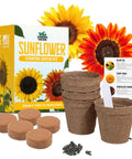 All-In-One Sunflower Garden Kit For Beginners Grow Five Colorful Varieties Like Teddy Bear Lemon Queen Red Velvet Queen Chocolate Cherry And Black Oil Sunflowers Awesome Gift Seed Variety Pack Easy Start displayed with pots, seeds, and packaging