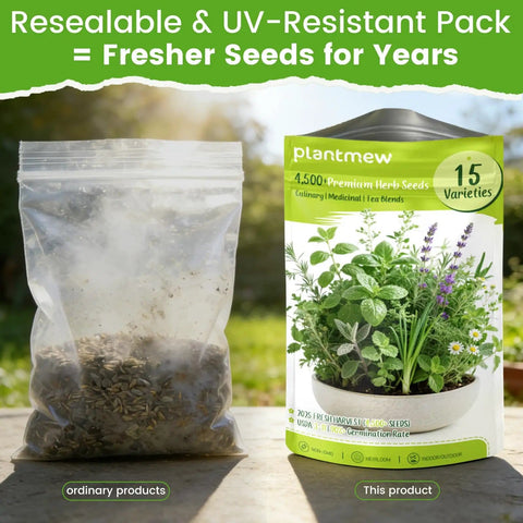 15 Pack Herb Seeds Set With 4500 Plus Non GMO Heirloom Seeds For Indoor And Outdoor Gardening including product packaging
