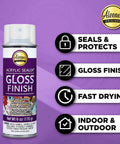 Spray Gloss Finish Acrylic Sealer 6 Oz Clear Coat For DIY Indoor And Outdoor Projects, Durable Protective Gloss, Easy Spray.