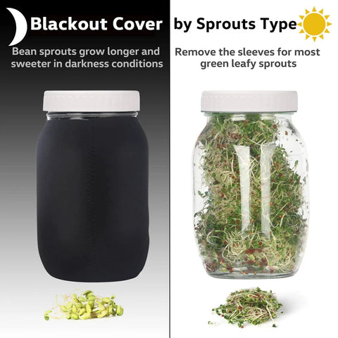 All In One Sprouting Jar Kit With Two Wide Mouth Mason Jars 316 Screen Sprout Lids Blackout Sleeves Tray And Stand For Growing Broccoli And Alfalfa At Home Seeds Not Included showing blackout cover and sprouted jar