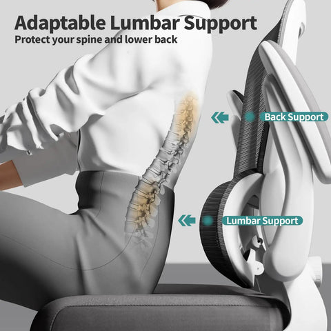 Ergonomic Mesh Office Chair With Adjustable Lumbar Support showing white finish and highlighted lumbar support features.