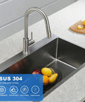 Modern Stainless Steel Kitchen Faucet With Pull Down Sprayer, Single Handle Brushed Nickel Deck Plate in contemporary kitchen.