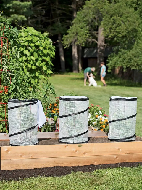Pop Up Tomato Accelerator Protector Cage Mini Greenhouse For Raised Beds And Vegetable Gardens 18 Inch Diameter By 28 Inch High Keeps Transplants Safe From Cold Winds And Speeds Growth