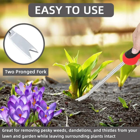 Using the Two Prong Weed Puller Tool With Soft Grip Handle Stainless Steel Dandelion Weeder in a garden with flowers.