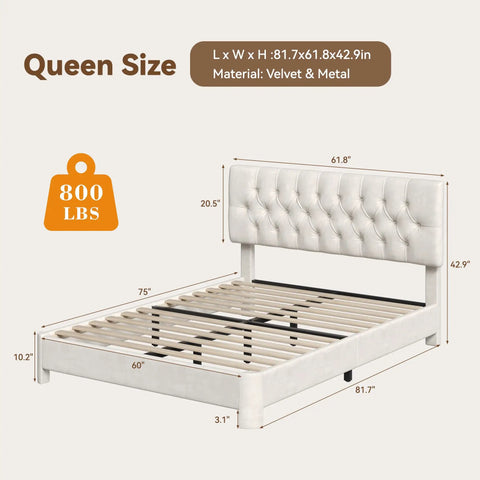 Queen Size Bed Frame With Plush Velvet Upholstered Headboard And Elegant Button Tufting Featuring Heavy Duty Wooden Slats For Zero Hassle Sleep No Box Spring Needed Straight Up Cozy Beige dimensions and details