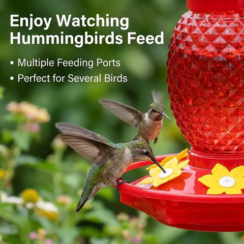 Red Glass Pineapple Hummingbird Feeder With Six Flower Ports 16 Oz Two Pack Leakproof And Easy To Clean