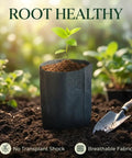 Image of a small plant sprouting in 200 Pack Breathable Plant Grow Bags 5.5 By 6.3 Inch Biodegradable Nonwoven Seedling Pot on soil.