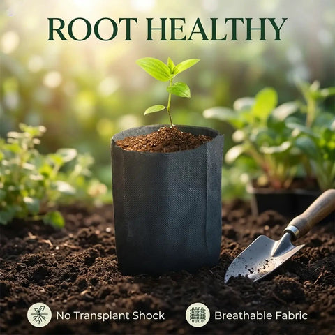 Image of a small plant sprouting in 200 Pack Breathable Plant Grow Bags 5.5 By 6.3 Inch Biodegradable Nonwoven Seedling Pot on soil.