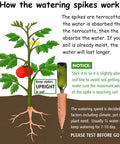 Illustration of Six Pack Terracotta Plant Watering Spikes with step-by-step usage guide alongside a potted plant graphic.