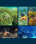Underwater scenes showing coral reefs and marine life for Waterproof RC Boat With WiFi Camera For Real Time Video And Photos 6 Channel Remote Control With Auto Activation In Water 360 Degree Spin Kid Approved Lakes And Pools Toy Gift