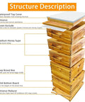 Structure of Five Layer Langstroth Beehive Starter Kit Dipped In 100 Percent Beeswax Coated Hive With Two Deep Boxes