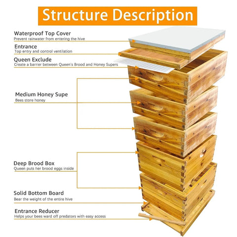 Structure of Five Layer Langstroth Beehive Starter Kit Dipped In 100 Percent Beeswax Coated Hive With Two Deep Boxes