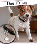 Heart Carabiner Keychain Clips Set In Silver And Black Durable Metal Spring Rings For Purses And Bags Backpacks Straps Water Bottles Dog Tags Charms And Gear Easy Access And Secure Attachment For Everyday Carry Dope Accessory shown on dog collar.