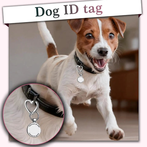 Heart Carabiner Keychain Clips Set In Silver And Black Durable Metal Spring Rings For Purses And Bags Backpacks Straps Water Bottles Dog Tags Charms And Gear Easy Access And Secure Attachment For Everyday Carry Dope Accessory shown on dog collar.