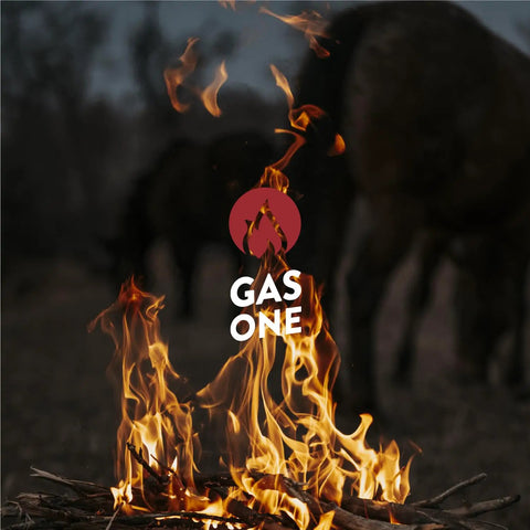 Outdoor scene with fire flames from wood, logo Gas One visible, setting for camping or backyard gatherings.
